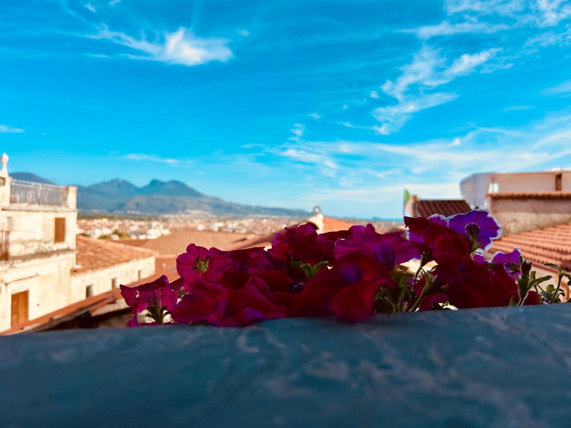 Casa Vacanze Irene Scalea Ngoại thất bức ảnh